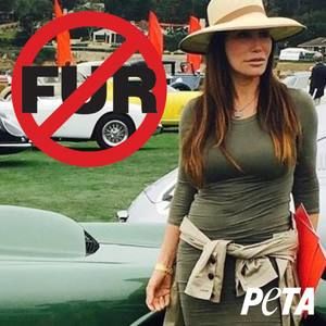 Meet your Posher, Ellen